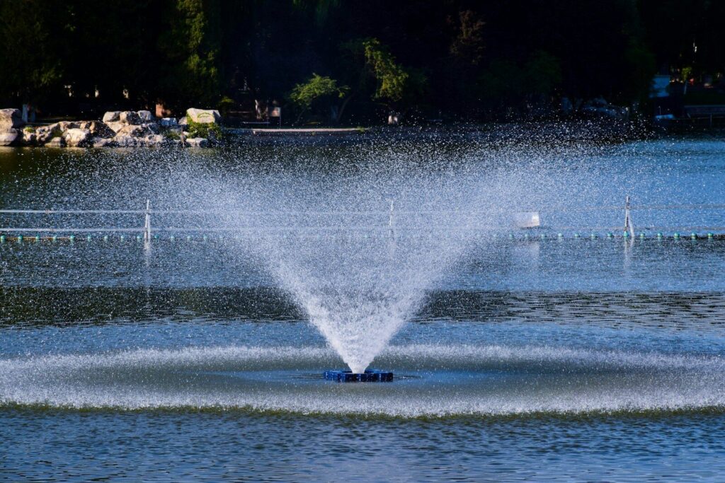 a water fountain spewing water into the air